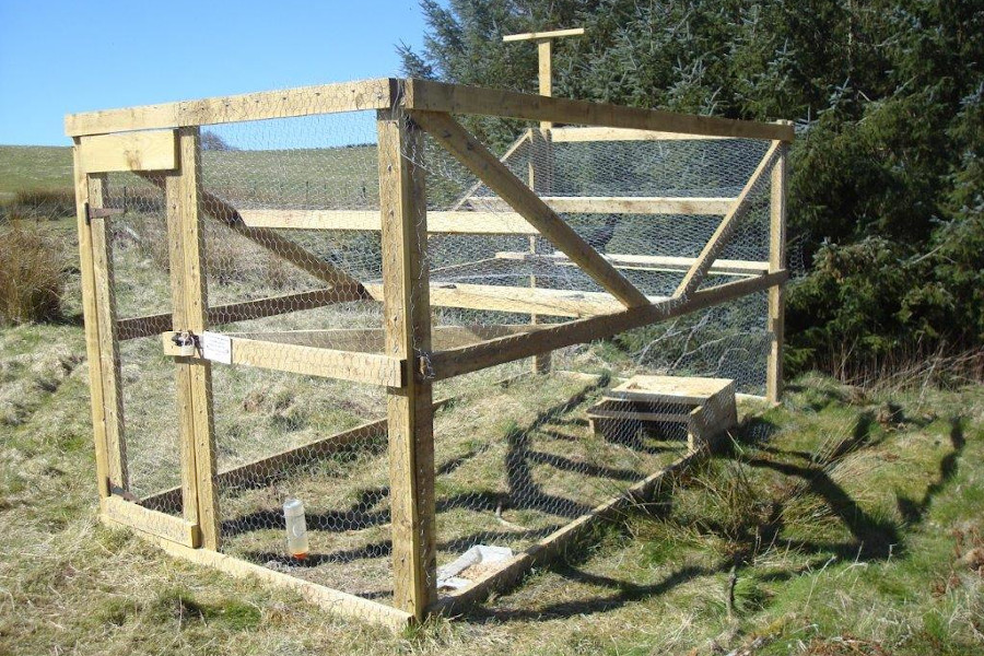 A multi-catch cage trap